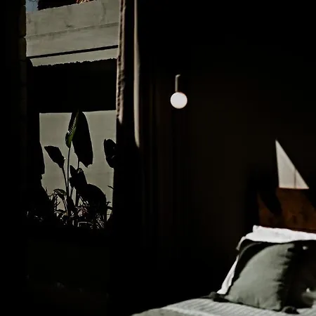 Saphira By Whitedream Willa Katávolos