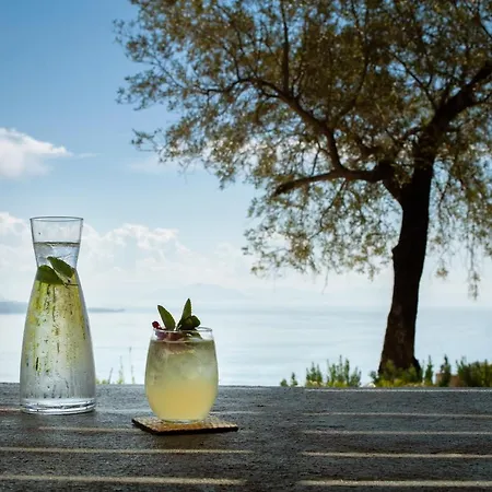 Willa Saphira By Whitedream *